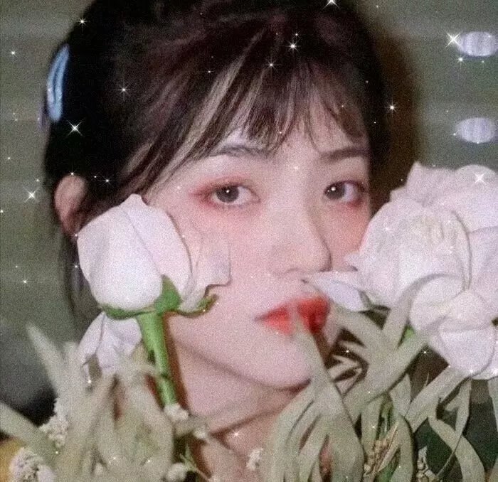 窗户上的阴影